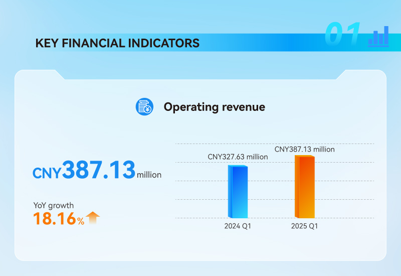 Key Finicial Indicators